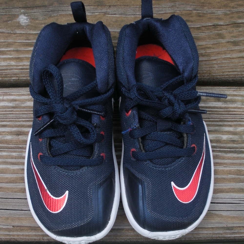 Nike Lebron Sneakers